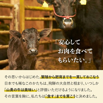楽天市場 ふるさと納税 飛騨牛 上カルビ 焼肉用 600g 牛肉 和牛 肉 お中元 バーベキューに Q113 岐阜県飛騨市