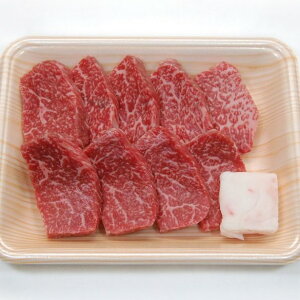 yӂ邳Ɣ[ŁzˎsY 5ˋ ~jXe[Lp 300g Mtg Xe[L ˋ A5 [Q350]