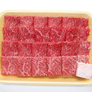 yӂ邳Ɣ[ŁzˎsY 5ˋ ēp 500g Mtg l|  [Q353]