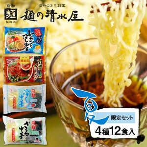 冷やし中華 セット 袋麺 インスタント麺の人気商品 通販 価格比較 価格 Com