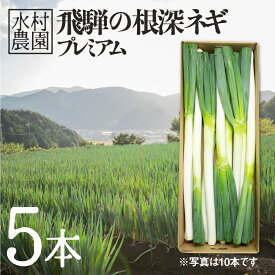 【ふるさと納税】《令和7年産先行予約》水村農園 飛騨の根深ネギ プレミアム ねぎ 5本 飛騨産野菜 旬の野菜 野菜 ネギ 産地直送 国産 [Q330re] 《hida0307》