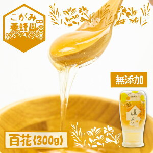 yӂ邳Ɣ[ŁzˎY I SԖ 300g YY S ݂͂ Mtg nj[M[Q1195wx]shida0307t