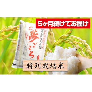 ふるさと納税 米 10kgの通販 価格比較 価格 Com ふるさと納税 米 10kgの通販 価格比較 価格 Com