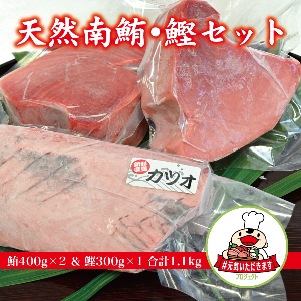 【ふるさと納税】a10-594　焼津 ミナミ マグロ・カツオ セット