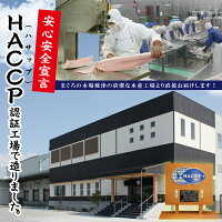 焼津市ふるさと納税|まぐろ