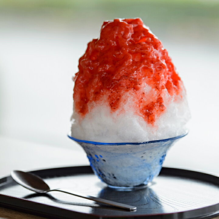 楽天市場 ふるさと納税 かき氷 シロップ 焼津 いちご 500g 濃い抹茶 500g 手作り 生シロップ 各10杯分 シロップ容器 2本 丸玉園 夏祭り お祭り 夏休み 縁日 イベント 夕涼み ふるさと納税限定 A15 466 静岡県焼津市