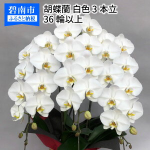 yӂ邳Ɣ[ŁzӒ  3{@36ֈȏ