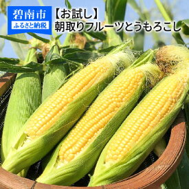 【ふるさと納税】とうもろこし 3Lサイズ7本 【お試し】メロンより甘い！朝取りフルーツとうもろこし H095-002
