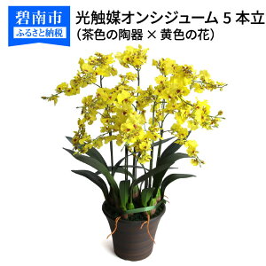 花 オンシジュームの人気商品 通販 価格比較 価格 Com 花 オンシジュームの人気商品 通販 価格比較 価格 Com