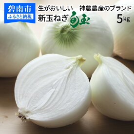 楽天市場 新玉ねぎの通販