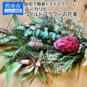 ユーカリ 生花の人気商品 通販 価格比較 価格 Com