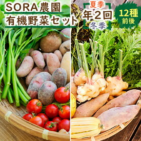 【ふるさと納税】【有機野菜　定期便2回】京都・京丹後 高評価★5.0 高レビュー★ SORA農園 有機野菜 セット 年2回 （夏季・冬季） お届け　12種類前後 有機野菜 オーガニック野菜 詰め合わせ 栽培期間中農薬不使用 ふるさと納税 オーガニック ふるさと納税 有機野菜