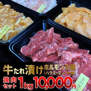 牛たれ漬けホルモン３種（ハラミ・ミノ・小腸）焼肉セット １kg