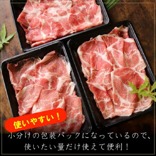 記事番号:34331/アイテムID:146899の画像