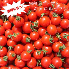 【ふるさと納税】完熟ミニトマト「キャロルセブン」《先行予約》2027年2月より順次発送予定