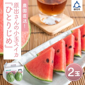 【ふるさと納税】農園直送！原出さんの小玉スイカ（ひとりじめ）《先行予約》【2026年6月下旬頃から順次発送予定】【配送不可地域：北海道、沖縄、離島等】