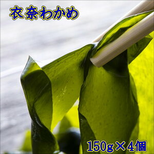 yӂ邳Ɣ[Łzߓނ킩