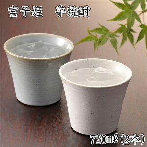 yӂ邳Ɣ[Łz{qP@Ēi720ml×2{j