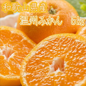 【ふるさと納税】和歌山県産　温州みかん（5kg）≪先行予約≫