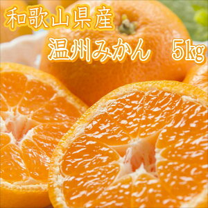 【ふるさと納税】和歌山県産 温州みかん(5kg)≪先行予約≫