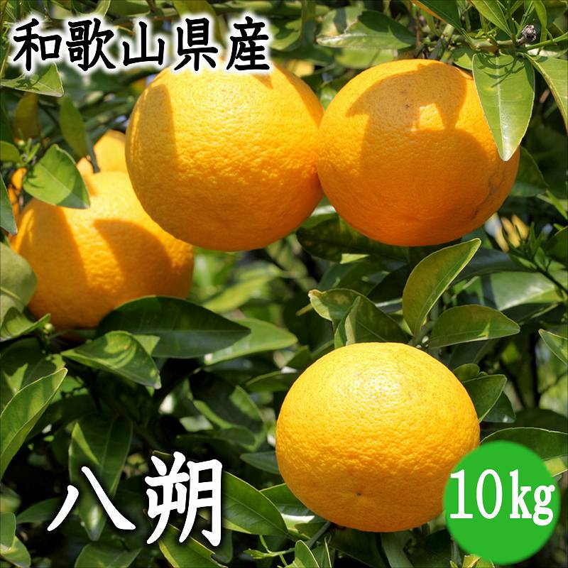 贈答 現在の生産量 出荷量は和歌山県が１位の柑橘類です ふるさと納税 八朔 新作送料無料 10kg 和歌山県産