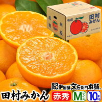 田村みかん/特選ギフト品10kg