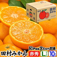 【ふるさと納税】田村みかん/ギフト選別5キロ赤秀(特選品)【Lサイズ】紀州和歌山有田郡湯浅町田村地区産(赤秀S=約60果前後)最高級プレミアムブランドの田村ミカン/お歳暮・お年賀に