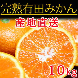 返礼品画像