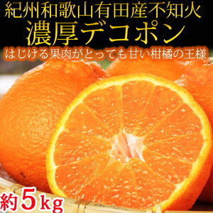【ふるさと納税】果肉プリプリ♪紀州デコ約5kg