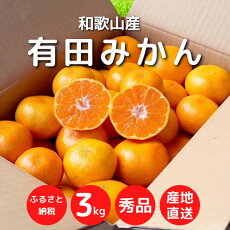楽天市場 ふるさと納税 ジャンル別お礼の品ランキング みかん
