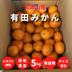 【ふるさと納税】【先行予約】和歌山県産 有田みかん 【訳あり 家庭用】 5kg (2S～2Lサイズ混合)【まごころ手選別】【ミカン 蜜柑 温州みかん 柑橘 和歌山】