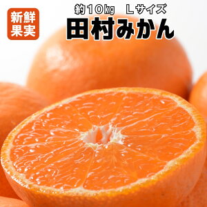 返礼品画像