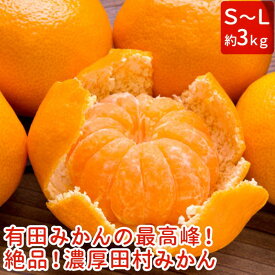 楽天市場 冬 みかん フルーツ 果物 食品の通販 楽天市場 冬 みかん フルーツ 果物 食品の通販