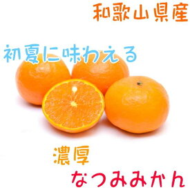 楽天市場 なつみ みかん フルーツ 果物 食品の通販 楽天市場 なつみ みかん フルーツ 果物 食品の通販