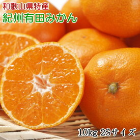 楽天市場 みかん 10kgの通販 楽天市場 みかん 10kgの通販