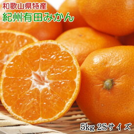 楽天市場 ふるさと納税 みかん Sサイズの通販 楽天市場 ふるさと納税 みかん Sサイズの通販