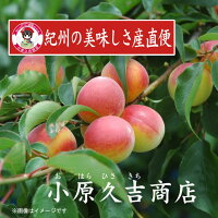 【ふるさと納税】【訳あり】紀州南高梅はちみつ味つぶれ梅2kg(梅干しサイズ中粒から大粒)