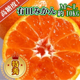 【ふるさと納税】【先行予約】高糖度 有田みかん 特秀品 10kg (M～Lサイズおまかせ)【ミカン 蜜柑 柑橘 温州みかん 有田みかん 和歌山】