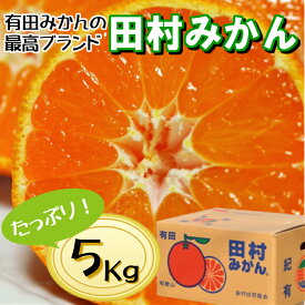 【ふるさと納税】有田の高級みかん【田村みかん】秀品！たっぷり 5kg ギフトにもオススメ (S～Lサイズおまかせ)【ミカン 蜜柑 柑橘 温州みかん 有田みかん 和歌山】