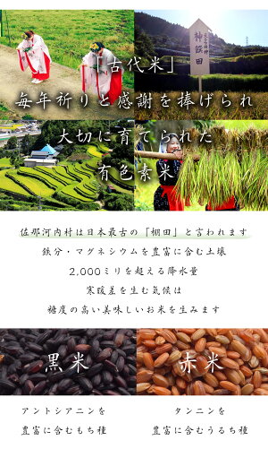 返礼品画像