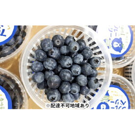 楽天市場 ブルー 青 フルーツ 果物 食品 の通販 楽天市場 ブルー 青 フルーツ 果物 食品 の通販
