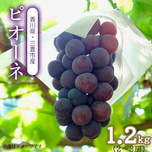 yӂ邳Ɣ[ŁzyzsnFkCEꌧEzsI[l@󂠂@OLsY@1.2kg@2~3[ H {