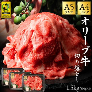 yӂ邳Ɣ[Łzјa ؂藎Ƃ  I[u 500g×3 d1.5kg [ ] Ă Ԃ ē LO uh    Y ꉟ   ؂藎