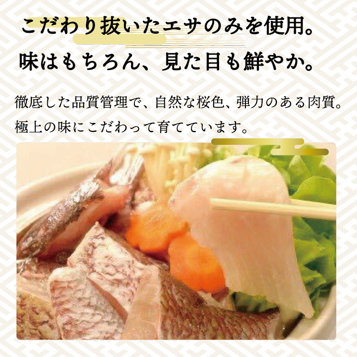 楽天市場 ふるさと納税 定期便 半年毎月 乙女鯛 6ヶ月 鯛 ブランド鯛 たい タイ 産地直送 高知県産 お歳暮 お中元 毎月届く 刺身 アラ付き 刺し身 煮付け アラ汁 送料無料 高知県須崎市 楽天市場 ふるさと納税 定期便 半年毎月 乙女鯛 6ヶ月 鯛 ブランド鯛 たい タイ 産地直送 高知県産 お歳暮 お中元 毎月届く 刺身 アラ付き 刺し身 煮付け アラ汁 送料無料 高知県須崎市