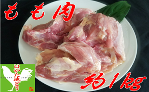 yӂ邳Ɣ[Łz͂nǂ  (1kg)yA5-263z
