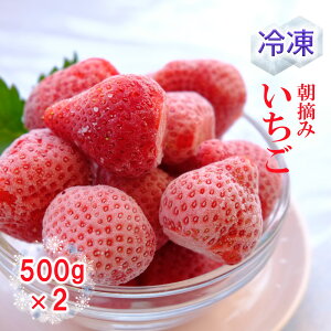 【ふるさと納税】ベリー畑　冷凍いちご　500gx2（福田ファーム）国産　果物　フルーツ　送料無料