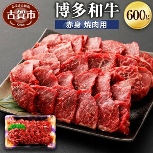 yӂ邳Ɣ[Łza Ԑgēp 600g   ē Ⓚ Y Y a  (L)q