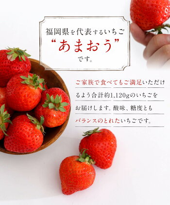【ふるさと納税】<予約>あまおう約280g×4パック(2020年1月〜4月順次発送)合計約1,120g福岡県産九州イチゴいちご苺果物くだものフルーツ送料無料ご家庭用