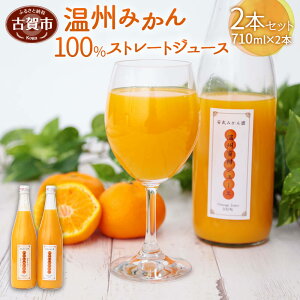 温州みかん ふるさと納税の人気商品 通販 価格比較 価格 Com