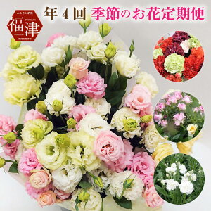 生花 花束 送料無料の人気商品 通販 価格比較 価格 Com